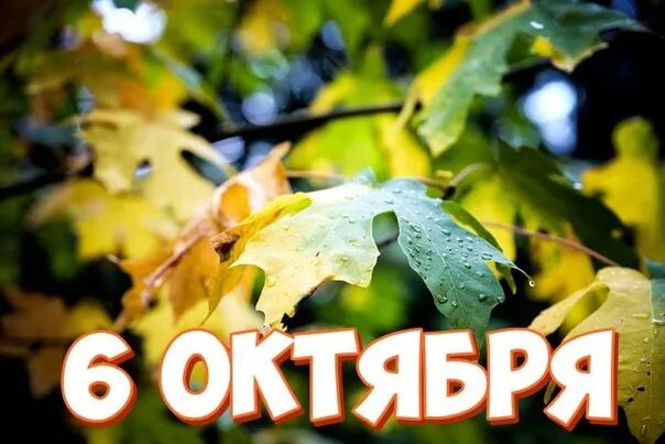 Октябрь ю. 6 октября праздник. октябрь 2025. 6 октября приметы.