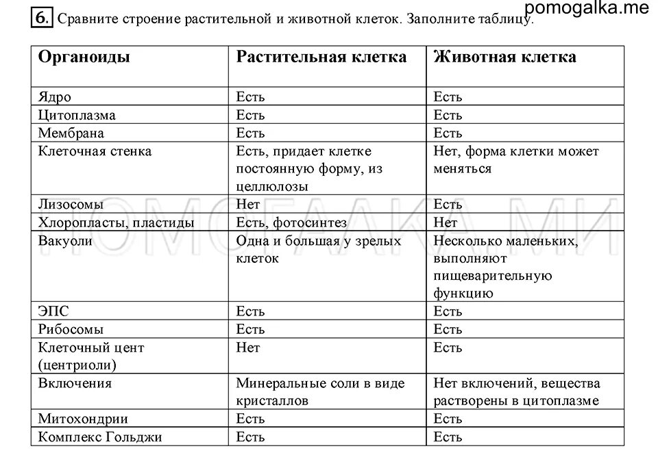 Сравните строение растительной и животное. Сравнение строения растительной и животной клетки таблица. Сходства и различия растительной и животной клетки таблица 9 класс. Сравнение растительной и животной клетки таблица. Строение растительной и животной клетки таблица.