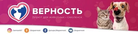 Верность тв помощь животным
