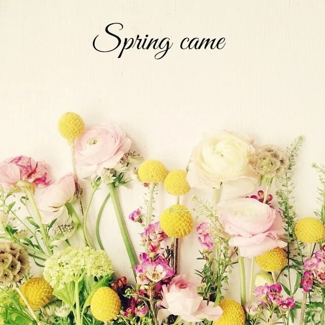 Spring comes перевод. Фартук hello Spring. Spring comes. Hello Spring картинки. Spring is coming soon.