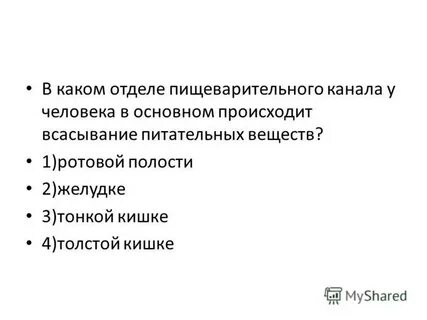 В каком отделе пищеварительного канала питательные вещества