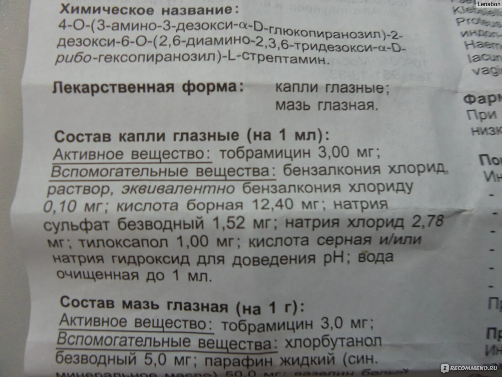 Тобрекс глазные какой возраст. Тобрекс глазные капли для новорожденных. Капли тобрекс глазные детские для новорожденных. Тобрекс глазные капли детям 5 лет. Тобрекс глазные капли инструкция для детей новорожденных.