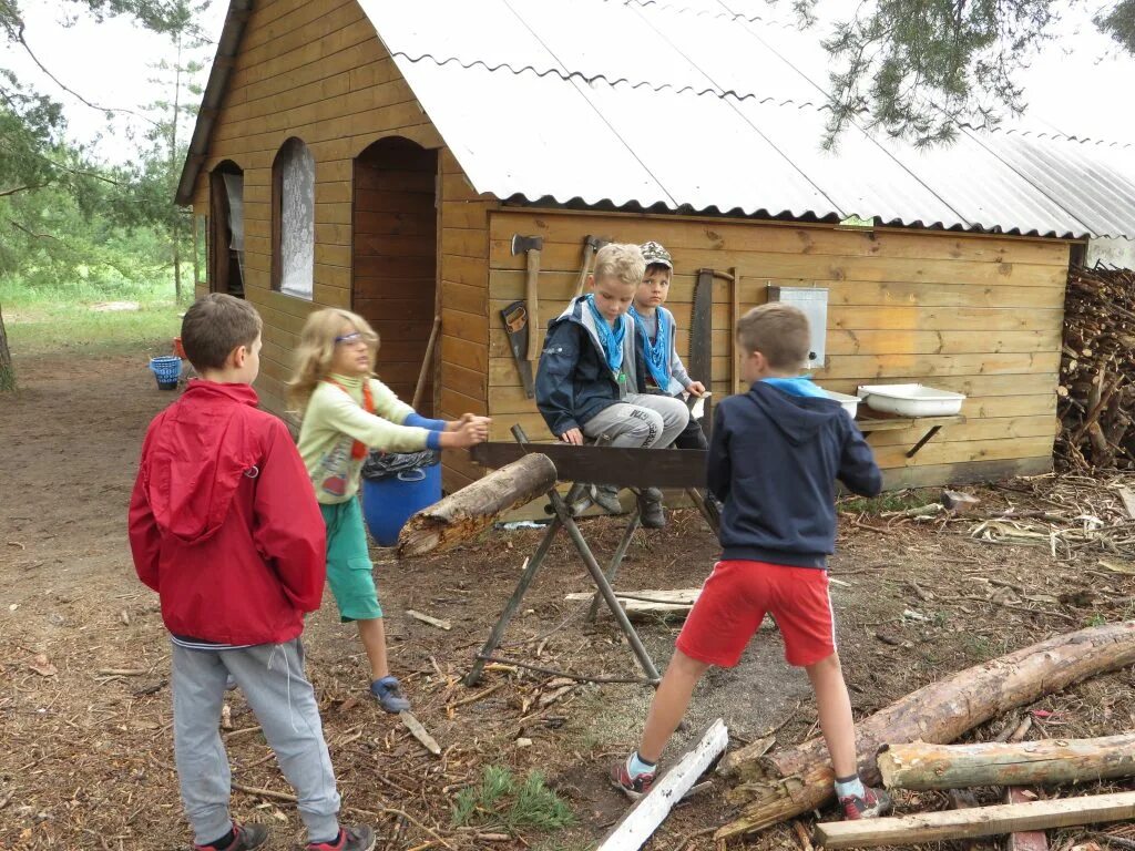 пилить дрова.