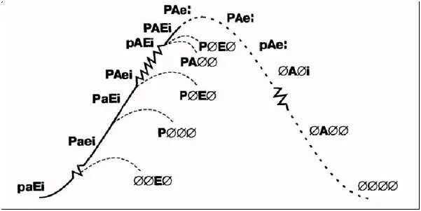 Ицхак Адизес paei. Paei-диаграмма. Модель paei. Pae- расшифровка Адизес paei. Paei тест расшифровка
