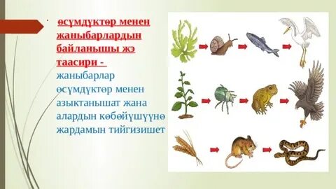 Кружевые трусики юбка астында