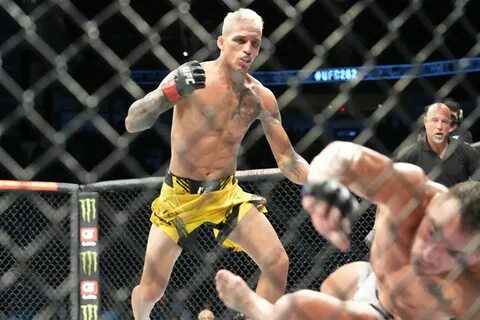 Топ 15 ufc