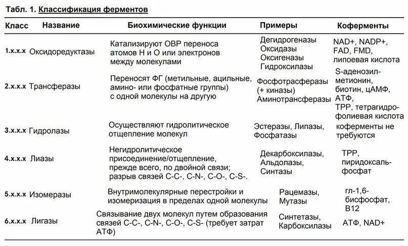 Функции ферментов таблица. Структура и функции коферментов таблица. Классификация ферментов коферменты. Классы ферментов таблица с примерами. Классификация ферментов биохимия таблица.