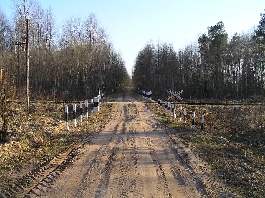 Жд переезд. Заграждение переезда. Переезд новгородская область. Жд переезд. Жэлезнадорожныйпириед.