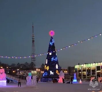 Новогодние березники
