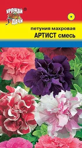 Фирма махров. Петунья махровая артист. Махровая артист f1 петуния. Семена петуния махровая артист. Петуния махровая артист 5 шт.