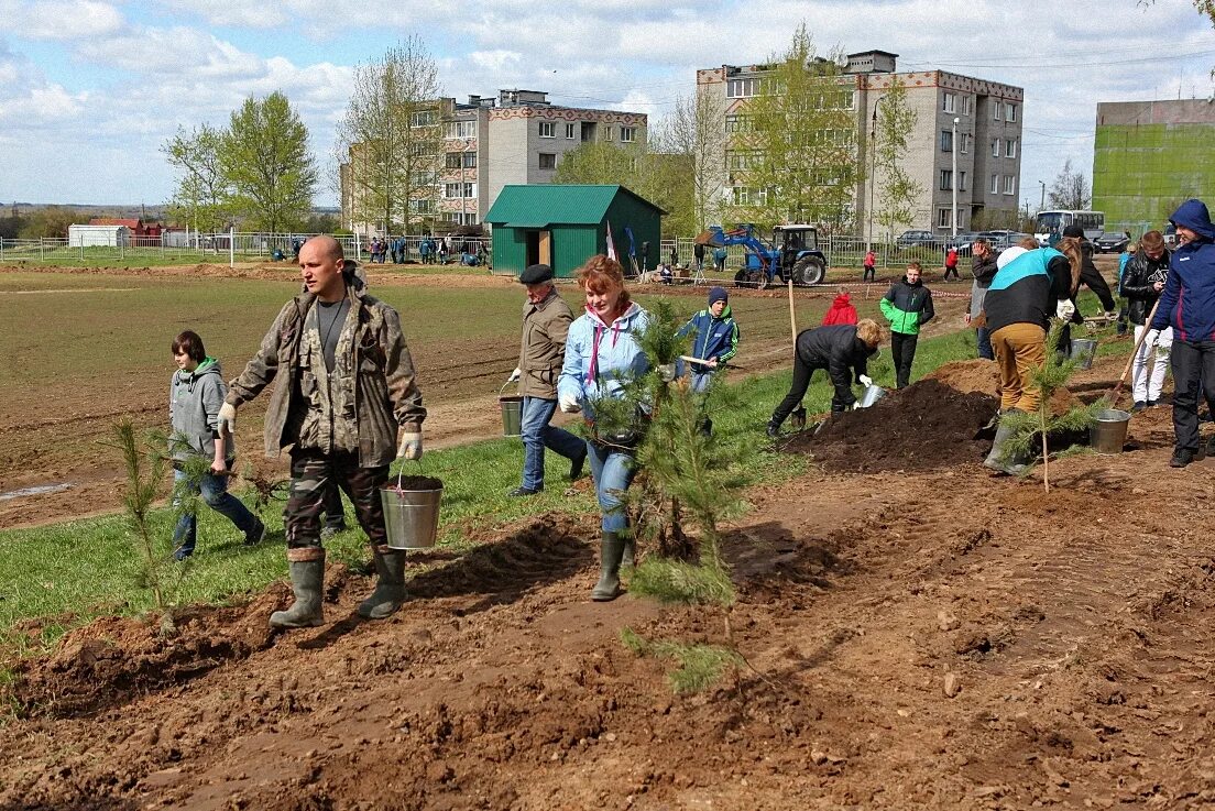 Поселок дубки ярославская область. Посёлок Дубки Ярославская область. Поселок Дубки Ярославский район. Поселок Дубки Переславский район. Учхоз Дубки Переславского района.