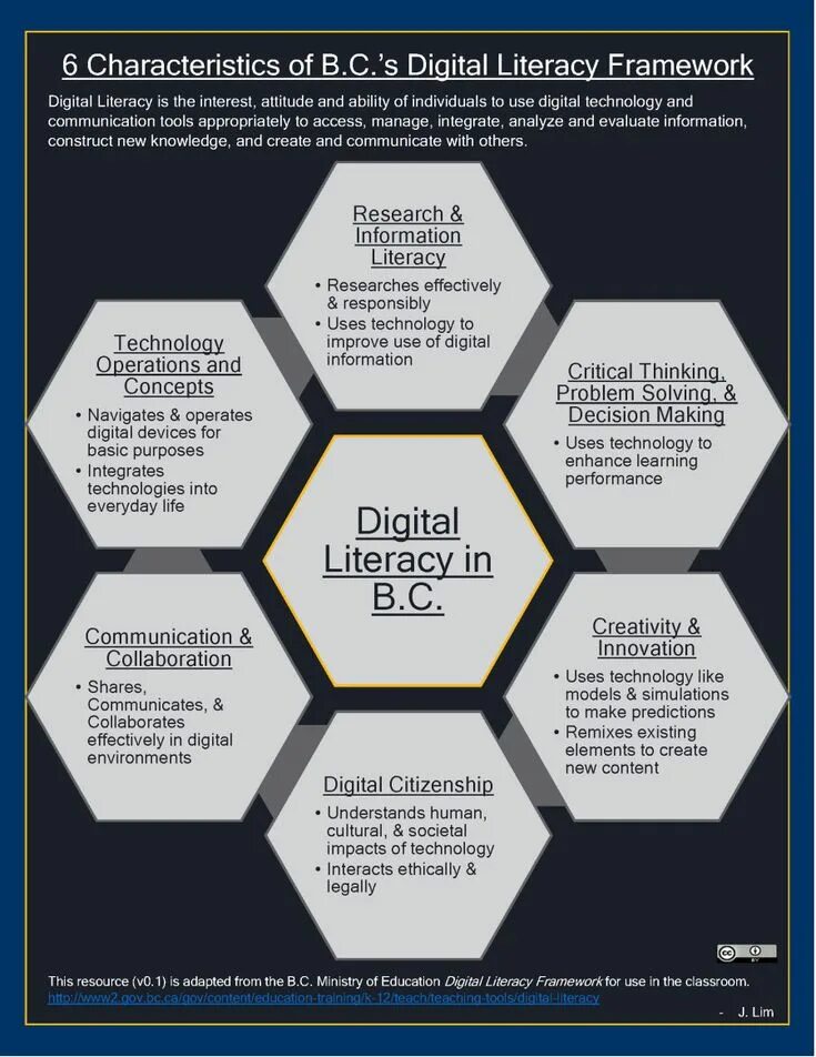 Framework digital. Digital Literacies. Digital Literacy мемы. Literacy skills. Goals of Digital Literacy skills.