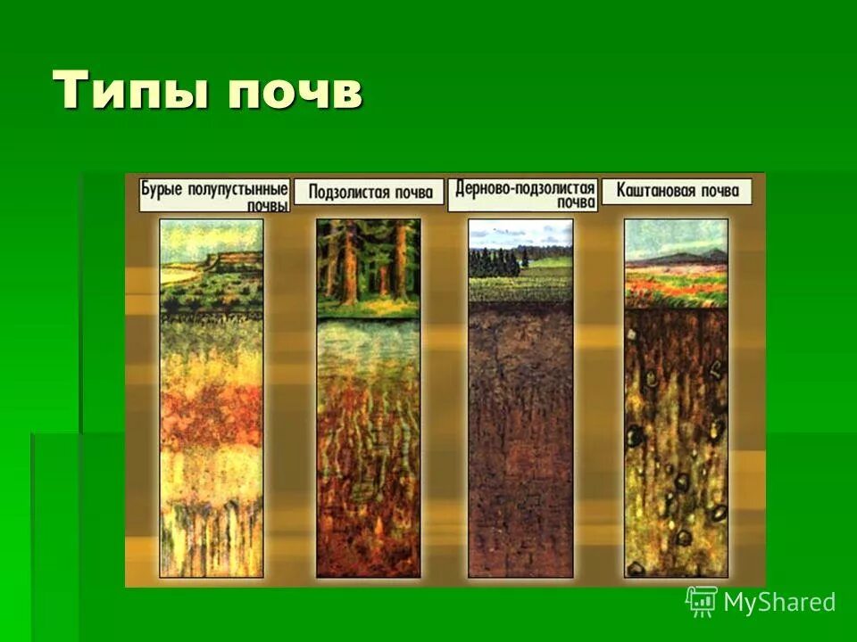 характеристика почв россии таблица. природные почвы россии 8 класс таблица. география 8 класс таблица почвы россии типы почв. типы почв схема. характеристики основных типов почв россии таблица.
