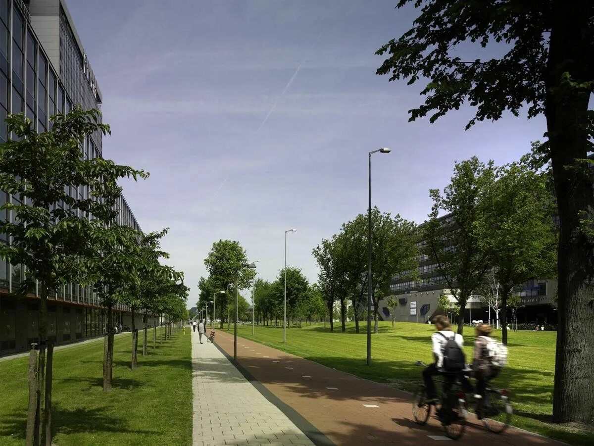 Озеленение кампуса. Парк кампус. Apple park в купертино, штат калифорния. Стентонский технологический институт. Парк кампус.