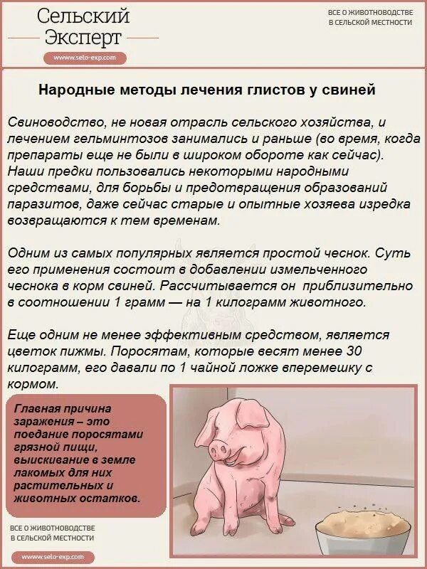 Можно ли глистогонить беременную