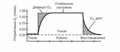 Величина кислородного долга