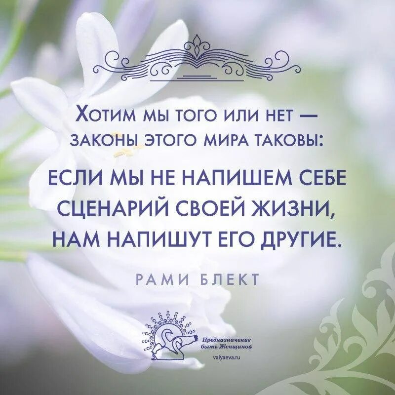 Духовные цитаты жизнь. Цитаты о духовности. духовное развитие цитаты. духовность афоризмы. духовный рост цитаты.