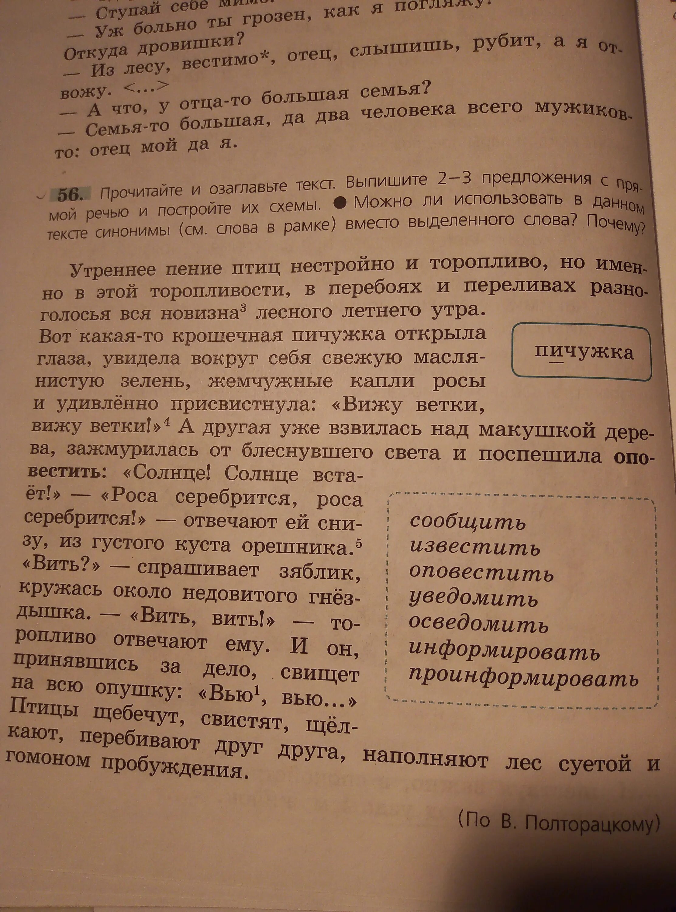 Определение авторов к слову пичужка. Каждой пичужке кормушка презентация. Пичужка птица. Стихотворение подружись со мной пичужка. Значение слова пичужка.