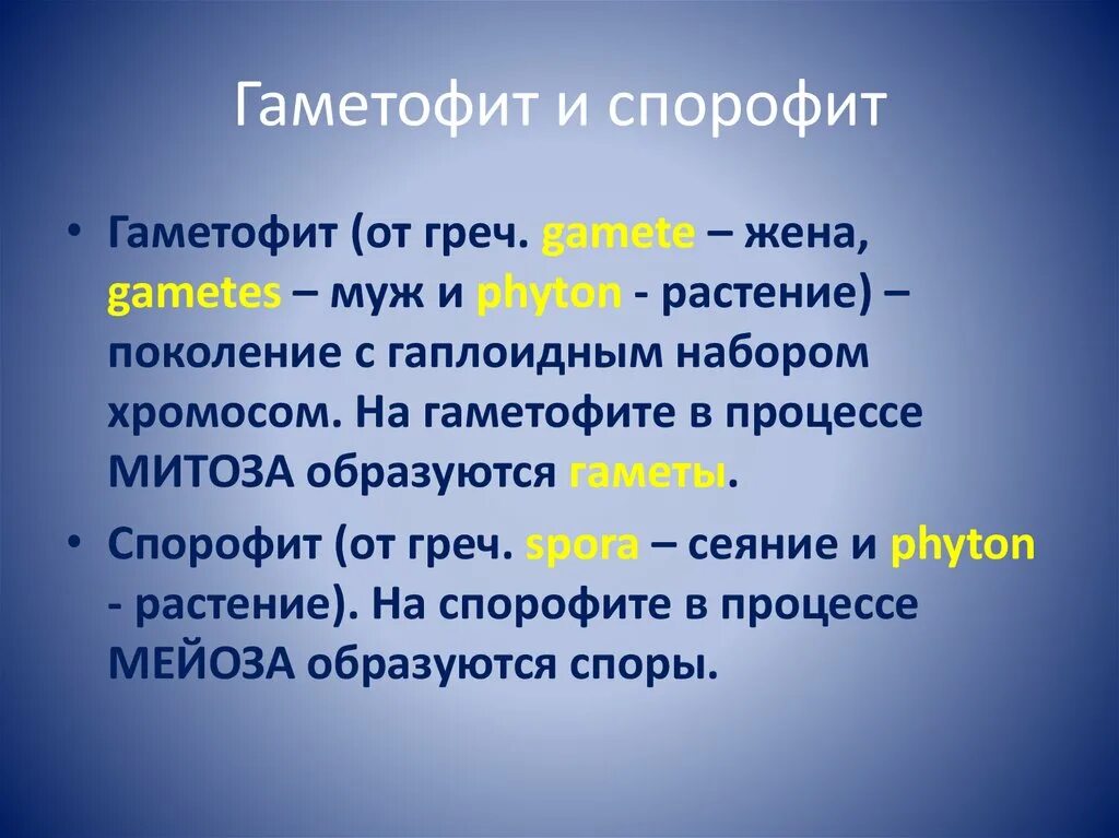 Спорофит и гаметофит это