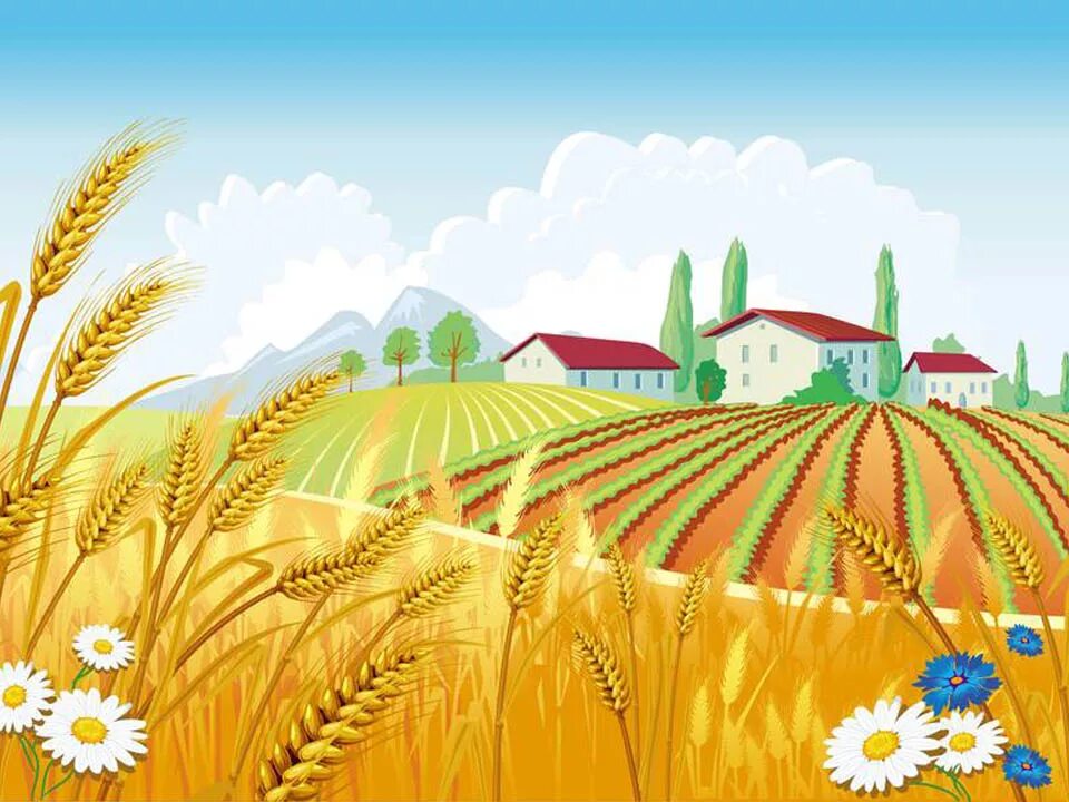 Тетрадь сельское хозяйство. Сельское хозяйство иллюстрация. Сельское хозяйство для детей. Сельское хозяйство рисунок. Ребенок в поле пшеницы.