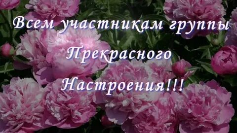 Поздравить участников группы