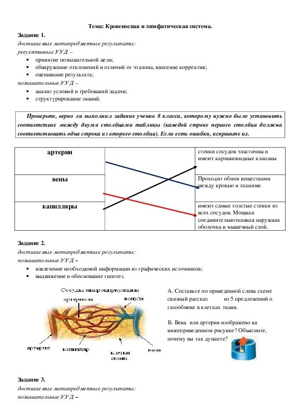 Контрольная работа кровеносная система ответами. Кровеносная система задания 8 класс. задание по теме кровеносная система биология 8 класс. задание по кровеносной системе 8 класс. задачи по биологии 8 класс.