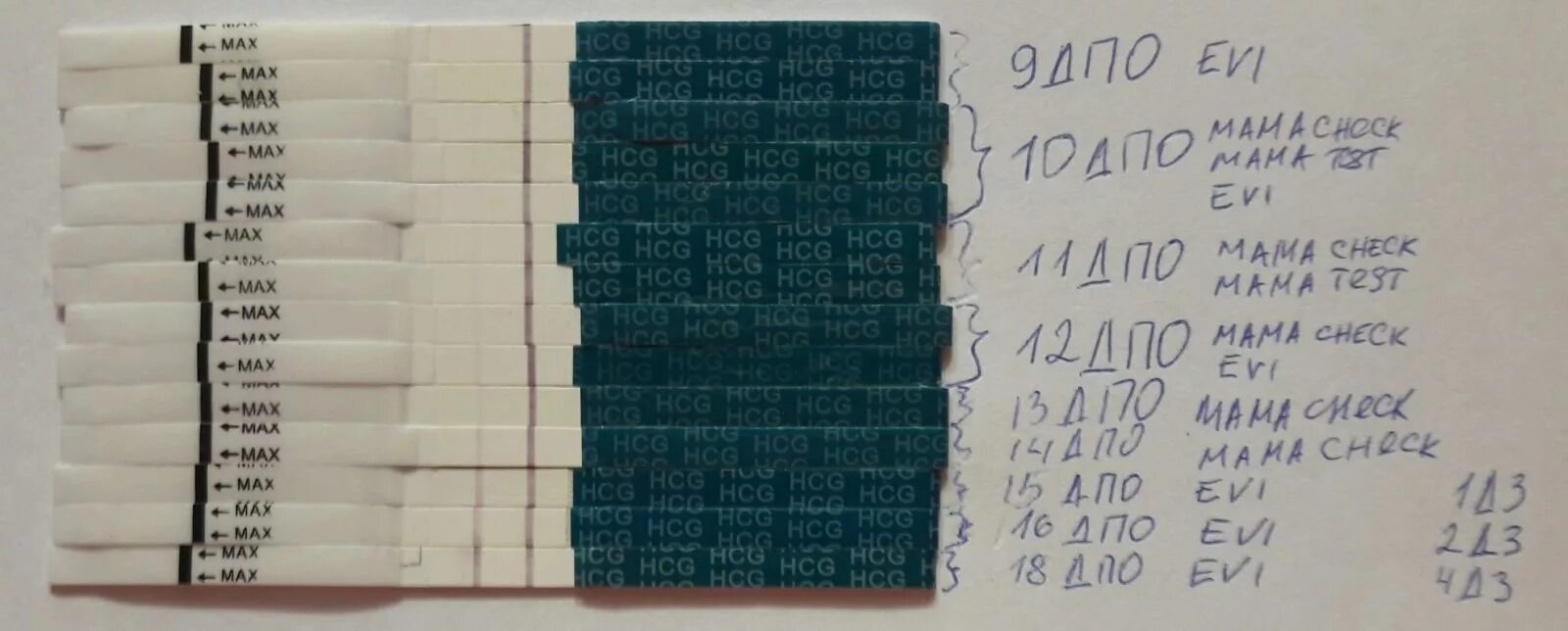 ДПО беременность динамика тестов. Тесты с 9 ДПО динамика. Динамика тестов по дням ДПО. Динамика тестов на беременность по дням. Динамика теста на беременность