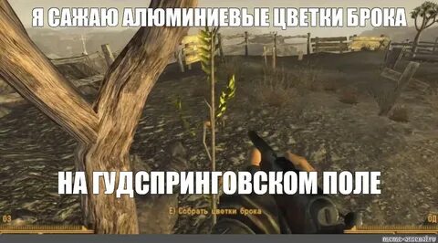 Найти корень зандер