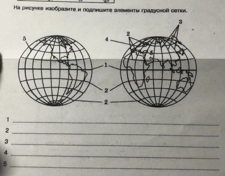 Градусная сетка 5 класс география тест. Градусная сетка. Элементы градусной сетки. Подпишите элементы градусной сетки. Элементы градусной сетки на карте.