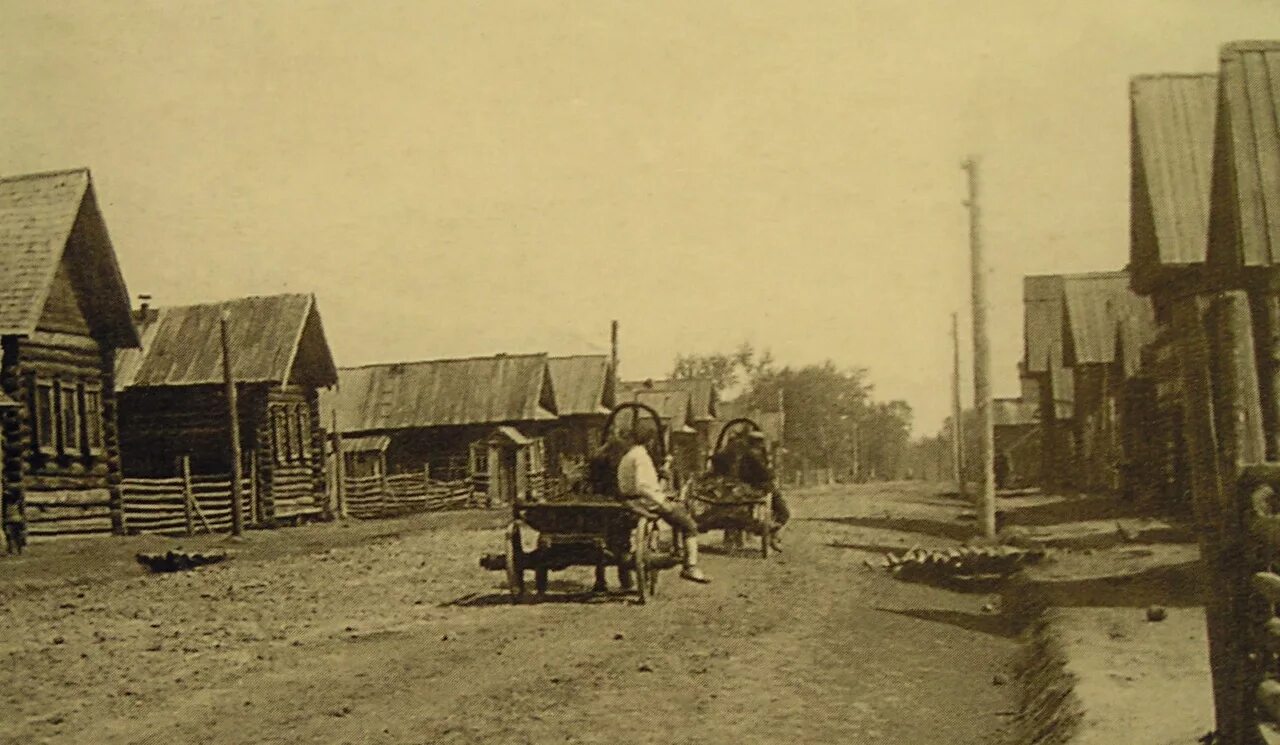 старых н п. деревня пустошь архангельская область приморский район. веневский уезд помещики.