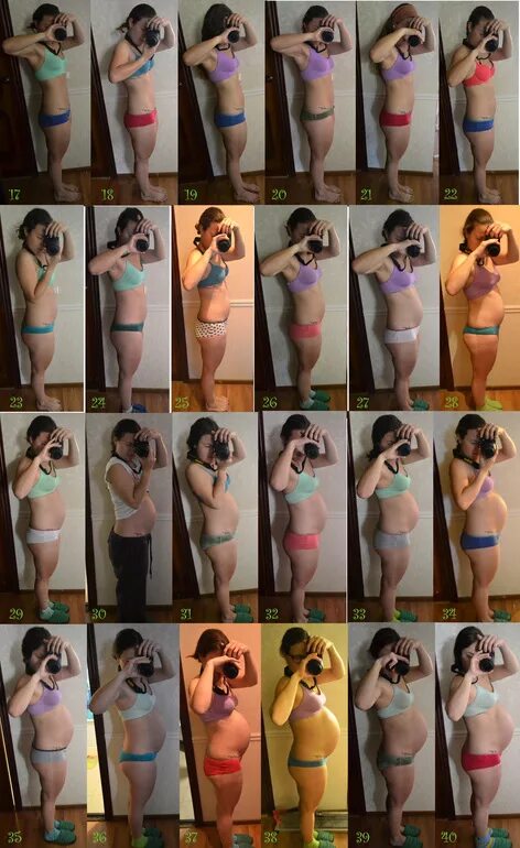 живот по неделям беременности. живот по месяцам беременности. на какой недели растет животик.