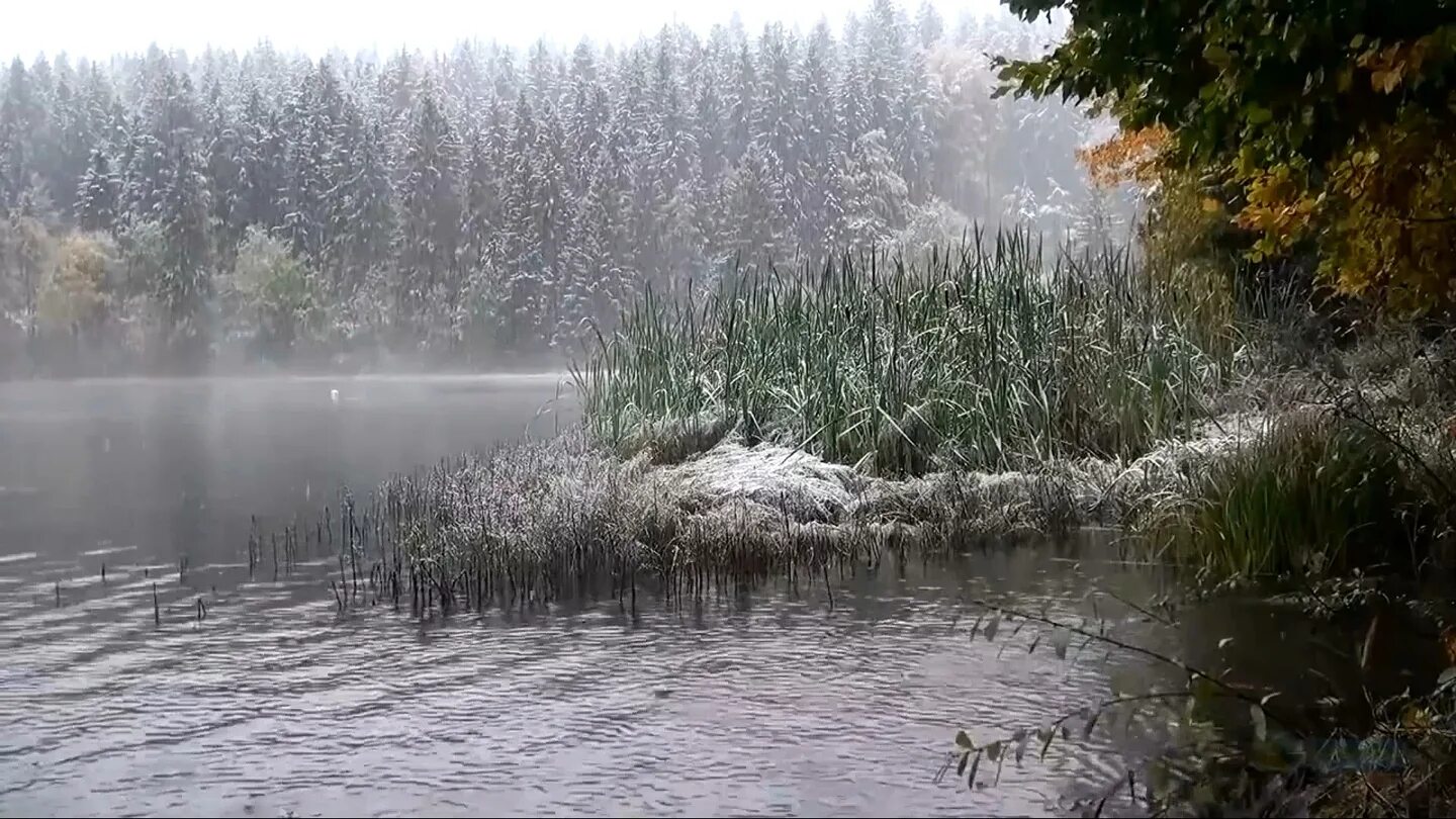 Дождь на озере. Дождь над озером. Дождь на реке. Ливень.