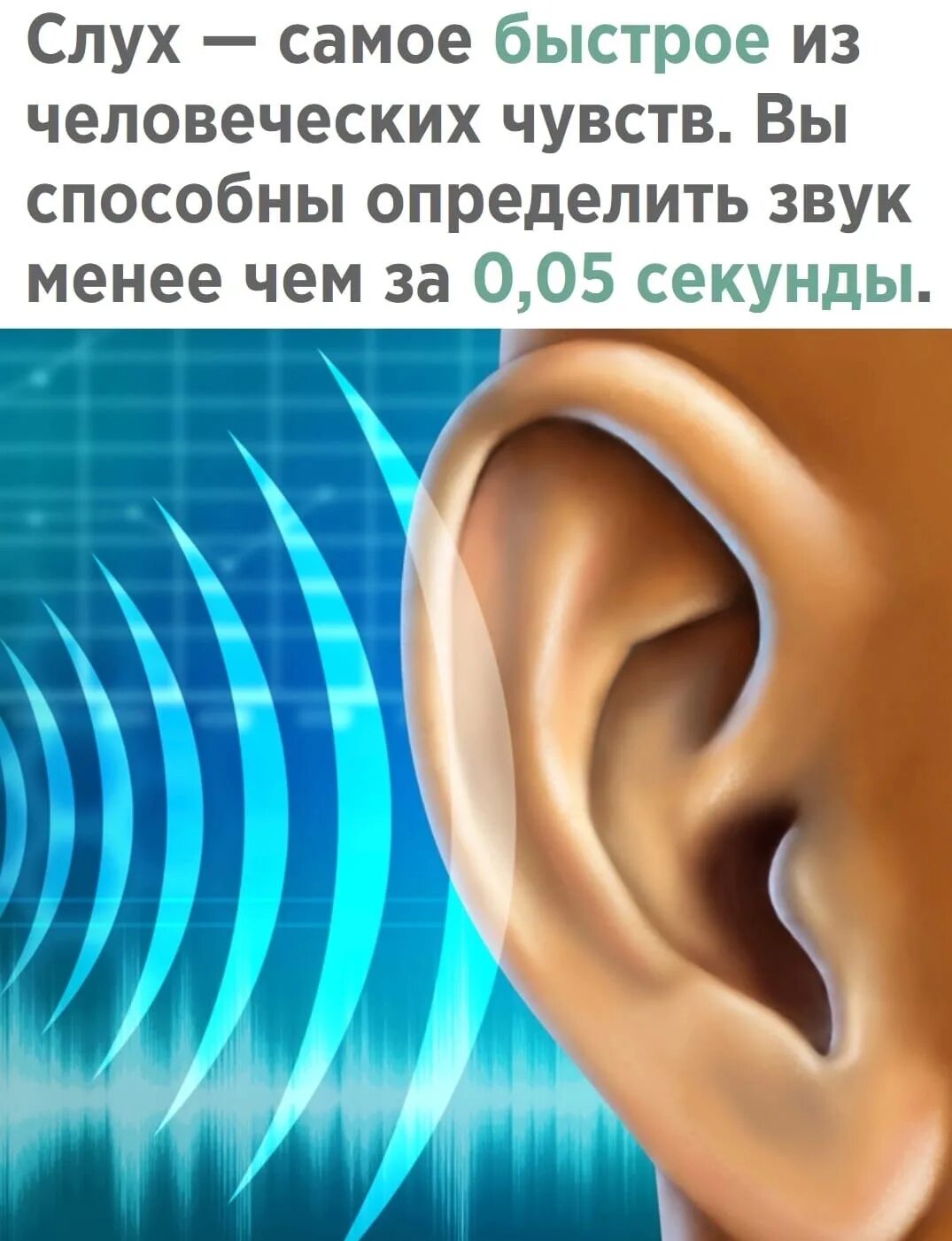 Звуковое восприятие. Восприятие звука ухом. Ухо улавливает звук. Звуковая волна в ухе. Слышу звуки в голове