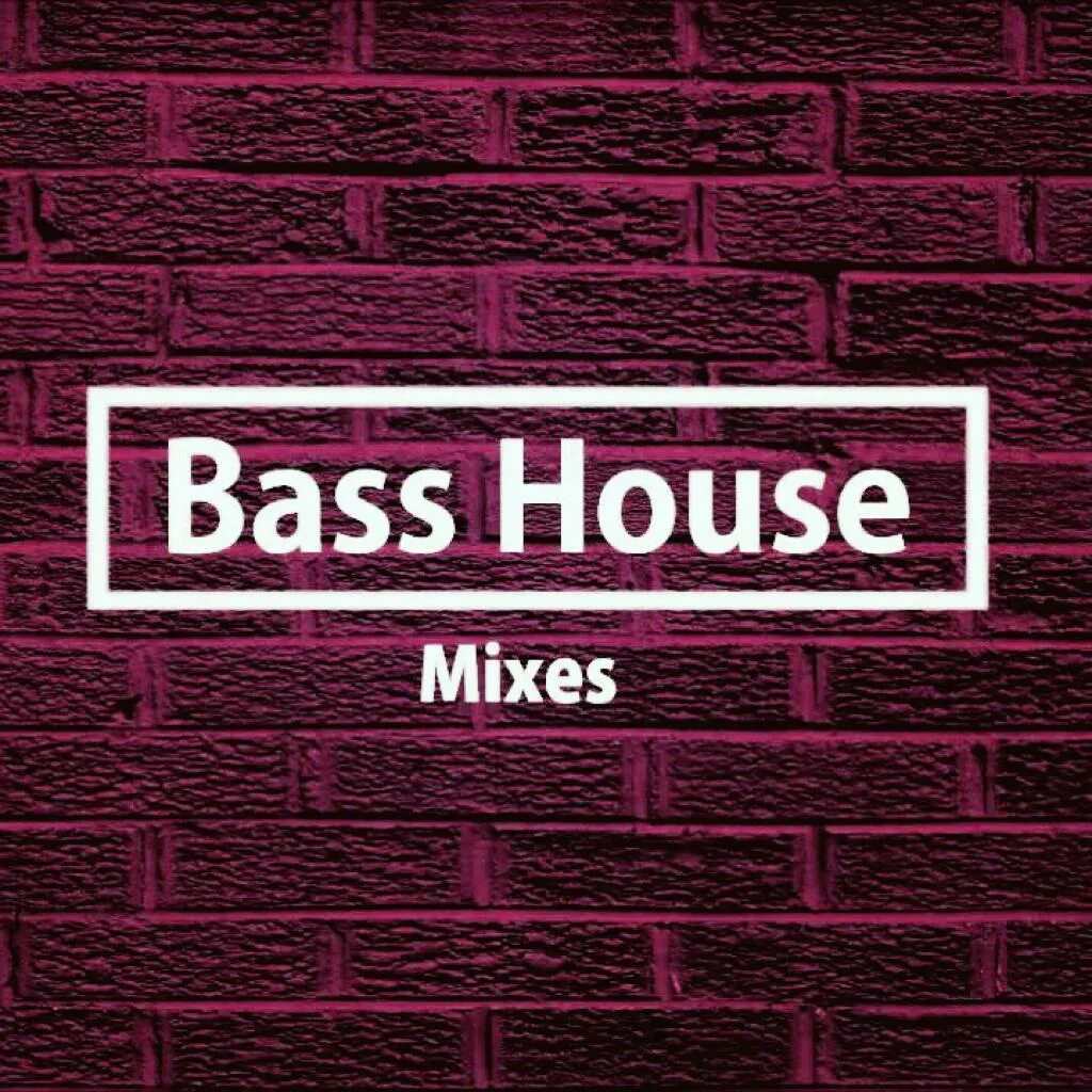 Басс Хаус. Басс Хаус Хаус. Bass House картинки. Bass House dk. House bass music