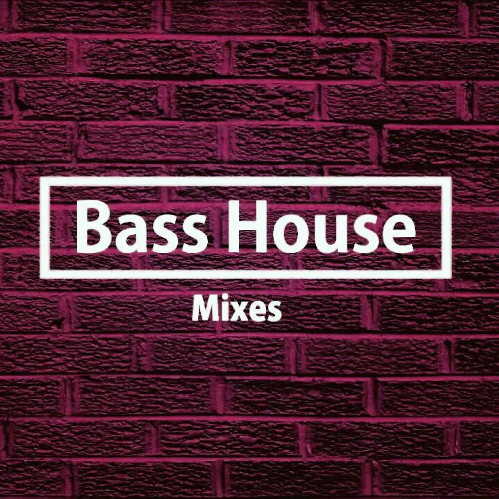 Басс микс. Басс Хаус. Басс Хаус Хаус. Bass House картинки. Bass House dk.