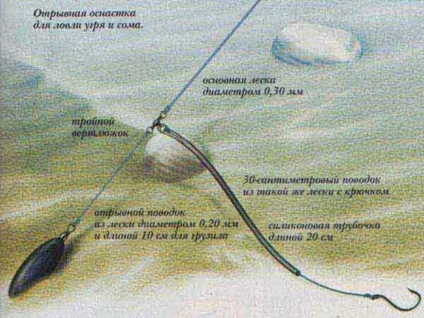 Снасть на ловлю с берега. Оснастка на сома для донки с берега. Живцовая донка оснастка. Оснастка на сома для донки лучшая. Донная снасть на сома.