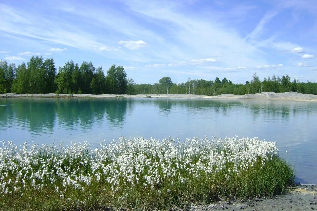 Ботанико геологический парк волгино новгородская область. Боровичи волгино. Боровичи волгино. Усадьба неклюдова боровичи. Голубое озеро боровичи волгино.