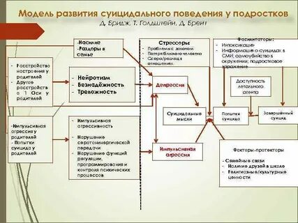 Формирование модели поведения