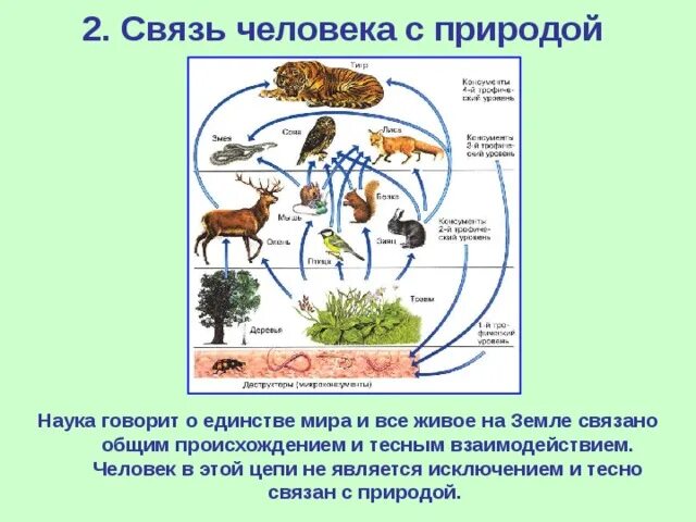 Многообразные связи человека с природой кратко. Связь велоуек с природой. Взаимосвязь человека и природы. Взаимосвязь между природой и человеком. Взаимосвязи в природе.