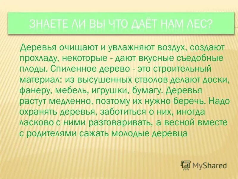 Лучшее дерево по очищению воздуха