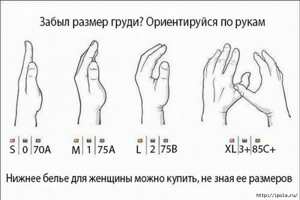 Girthmasterr размер. Как узнать размер груди1 у женщин. как узнать размер груди1 2 3 у женщин. как понять какой размер груди1. как определить размер груди 2.