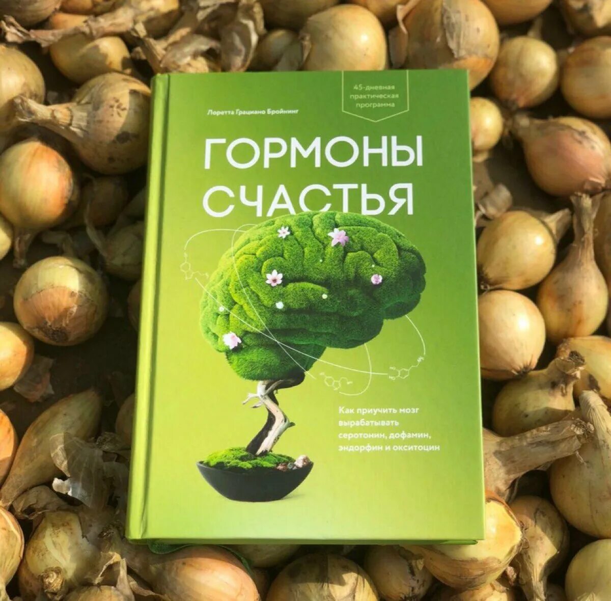 Эндорфин где. Лоретта Грациано Бройнинг гормоны счастья. Гормоны счастья книга. Гормоны счастья мозг. Гормоны радости и счастья книга.