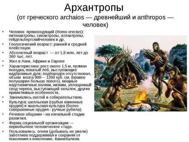 Древнейшие люди архантропы социальная структура. Архантропы характеристика. Признаки архантропопов.
