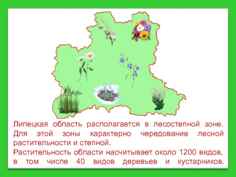 Липецк какая природная зона. Карта природных зон Липецкой области. Карта растительности Липецкой области. Природные зоны Липецкой области. Природная зона Липецкой области 4 класс.