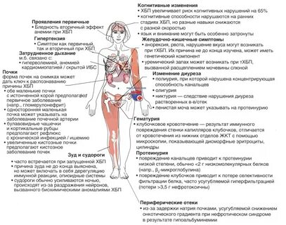 Хроническая болезнь почек (ХБП) у ребенка - кратко с точки зрения педиатрии