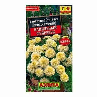 Бархатцы эскимо описание