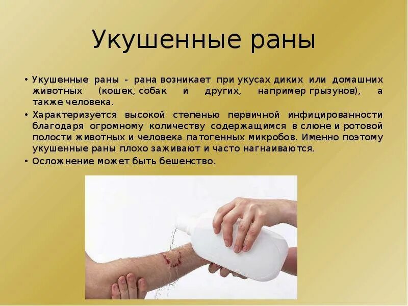Что делать если укусила кошка