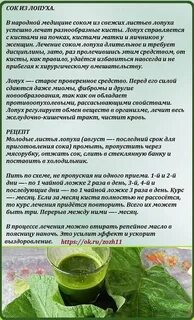 Листья лопуха лечебные свойства и противопоказания