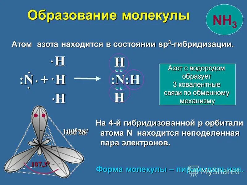 Nh3 тип. Тип гибридизации в молекуле nh3. sp3 гибридизация аммиака. sp3 гибридизация азота. sp3 гибридизация nh3.