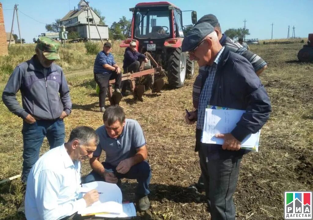 Конкурс пахарей 2004. Село пахарь. „пахарь подмосковья 2019“. Поселок красный пахарь донецк. Погода в пахаре на неделю.